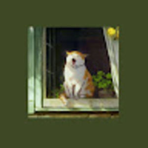 Meet your Posher, Carly